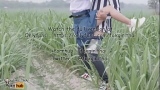 FOXGIRLTHAI ONLYFANS น้องนักเรียนม.4 รอแฟนมาเย็ดหีในป่าอ้อย